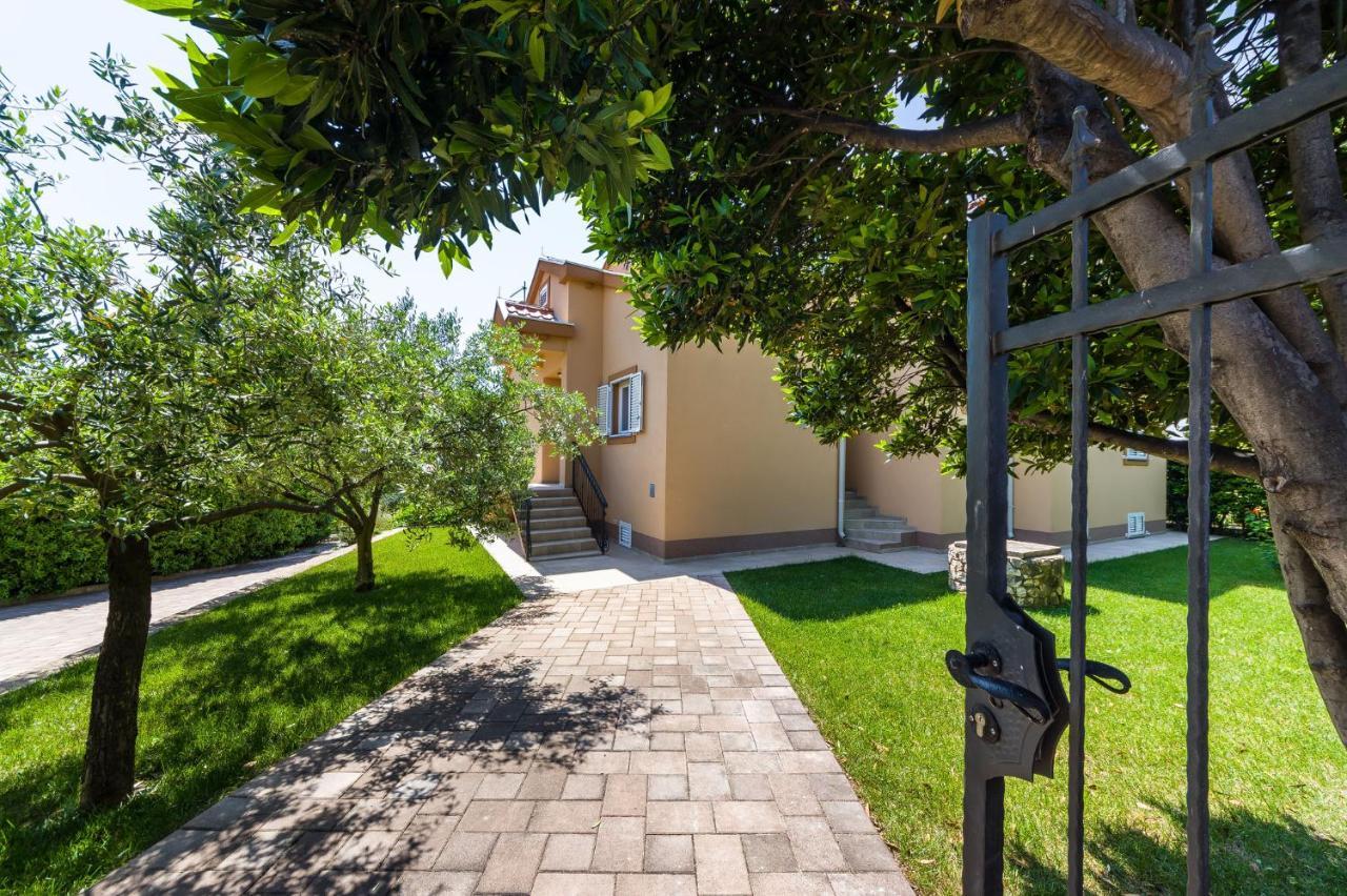 Apartment Alex 1 زادار المظهر الخارجي الصورة